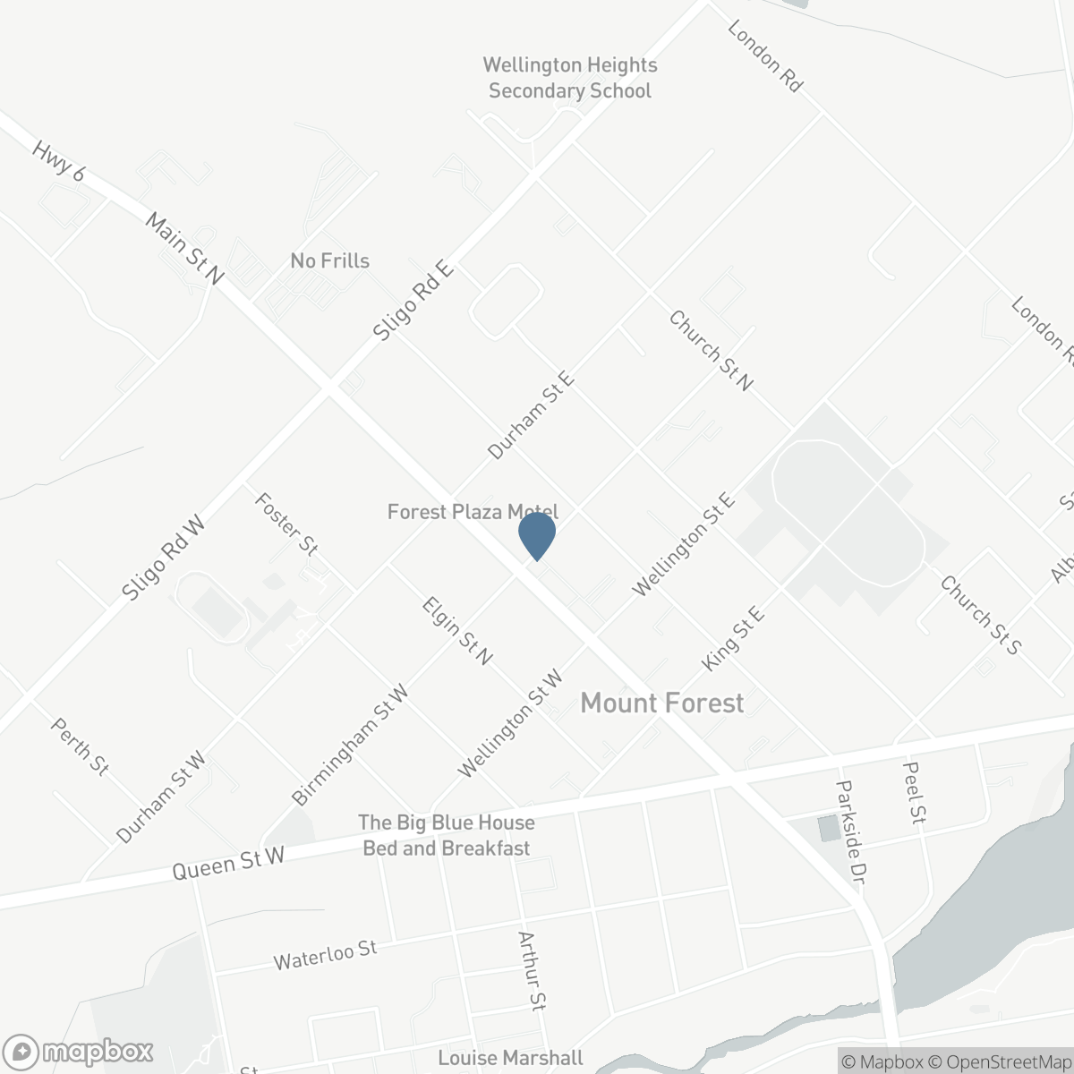 173 BIRMINGHAM STREET E, Mount Forest, Ontario N0G 2L2